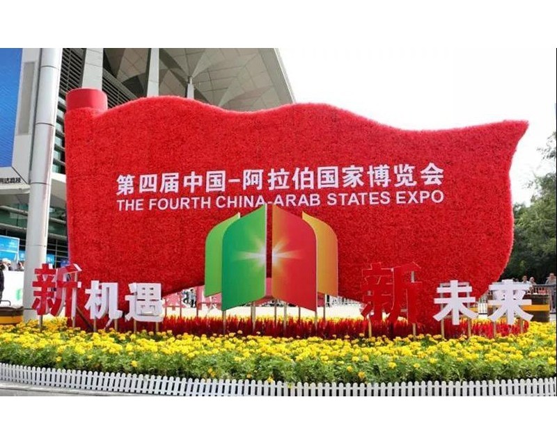 『共建丝路，喜迎硕果』宁夏国际语言学校助力中阿友谊长存