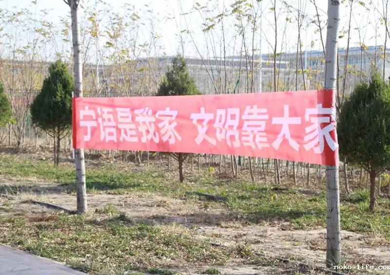 创建文明校园 · 助力文明城市(图7)