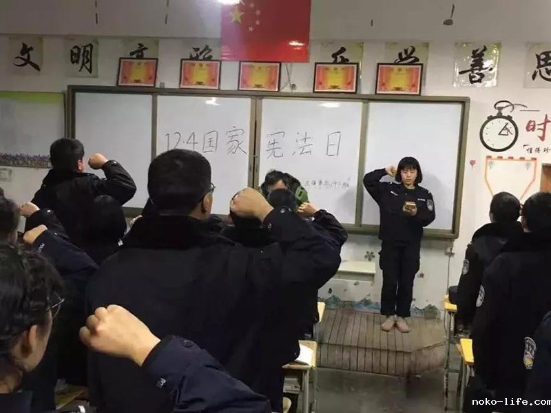 国家宪法日丨礼赞祖国，致敬宪法，宁语人这样做！(图9)
