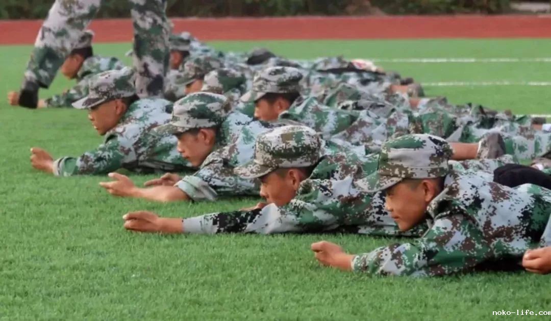 2020，为什么选择宁语？(图10)