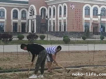 学生的乐园 · 老师的菜园 · 庄园式校园(图2)
