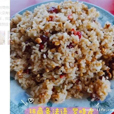 宅家新玩法 · 劳动“趣”时光(图17)