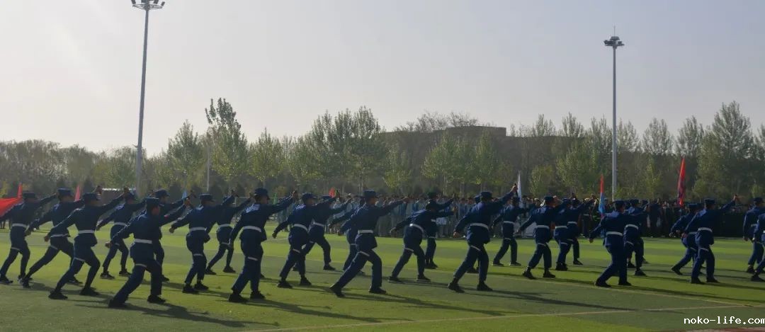 1-2305110T6112L.jpg