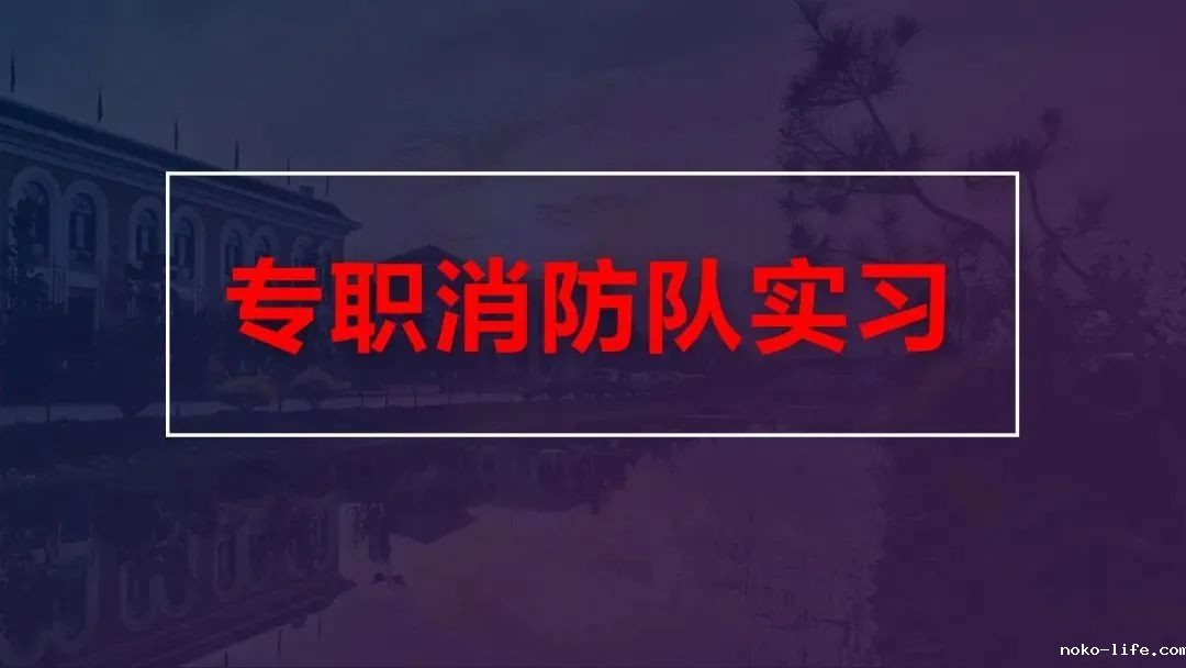 1-2311061134324D.jpg